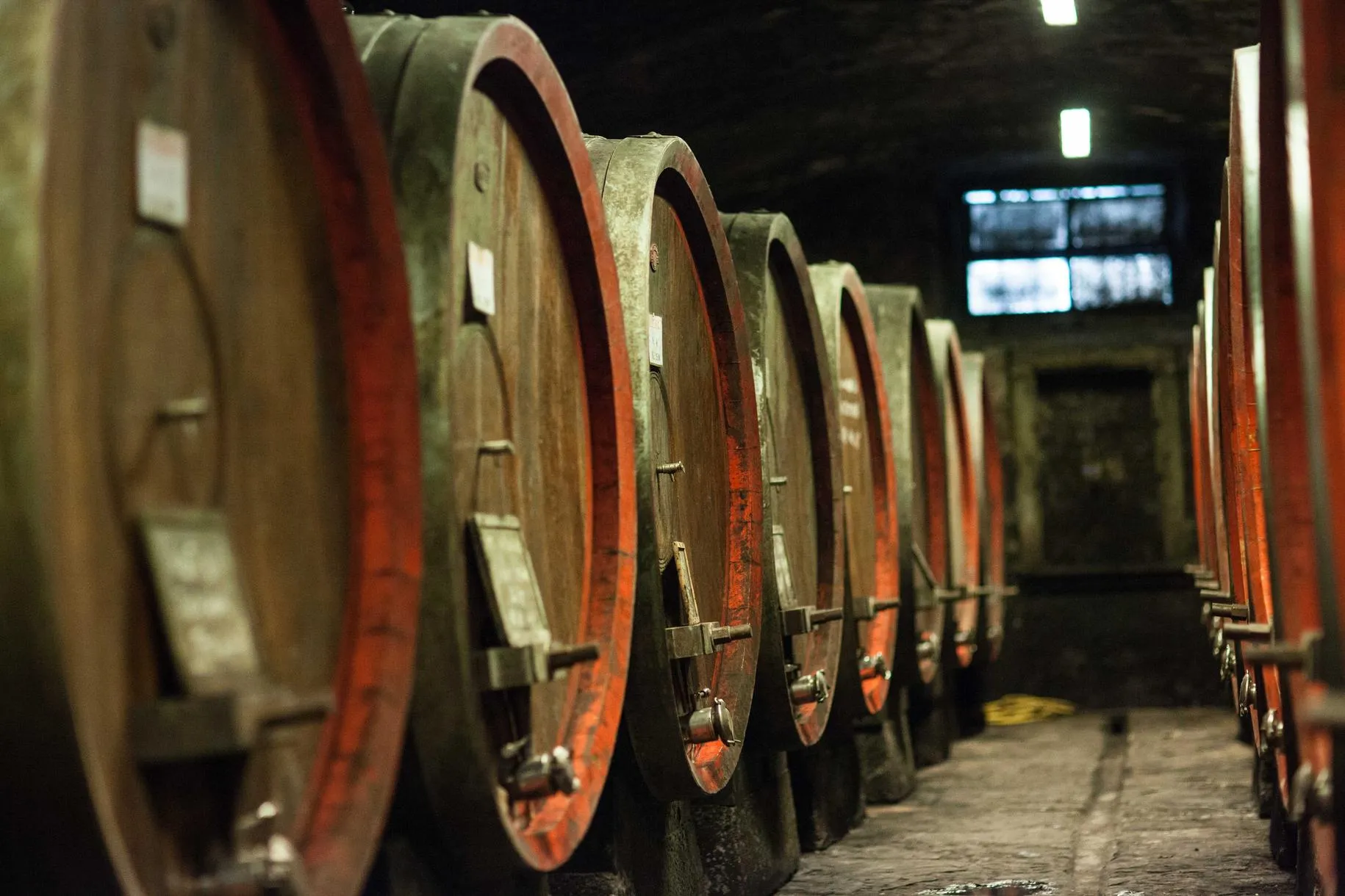 Passeggiata a cavallo con degustazione di vino fuori Firenze