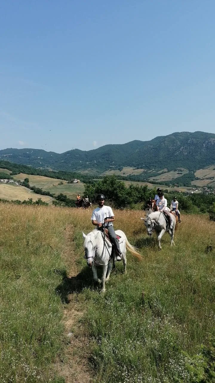 Passeggiata a cavallo sulle colline emiliane a Vergato