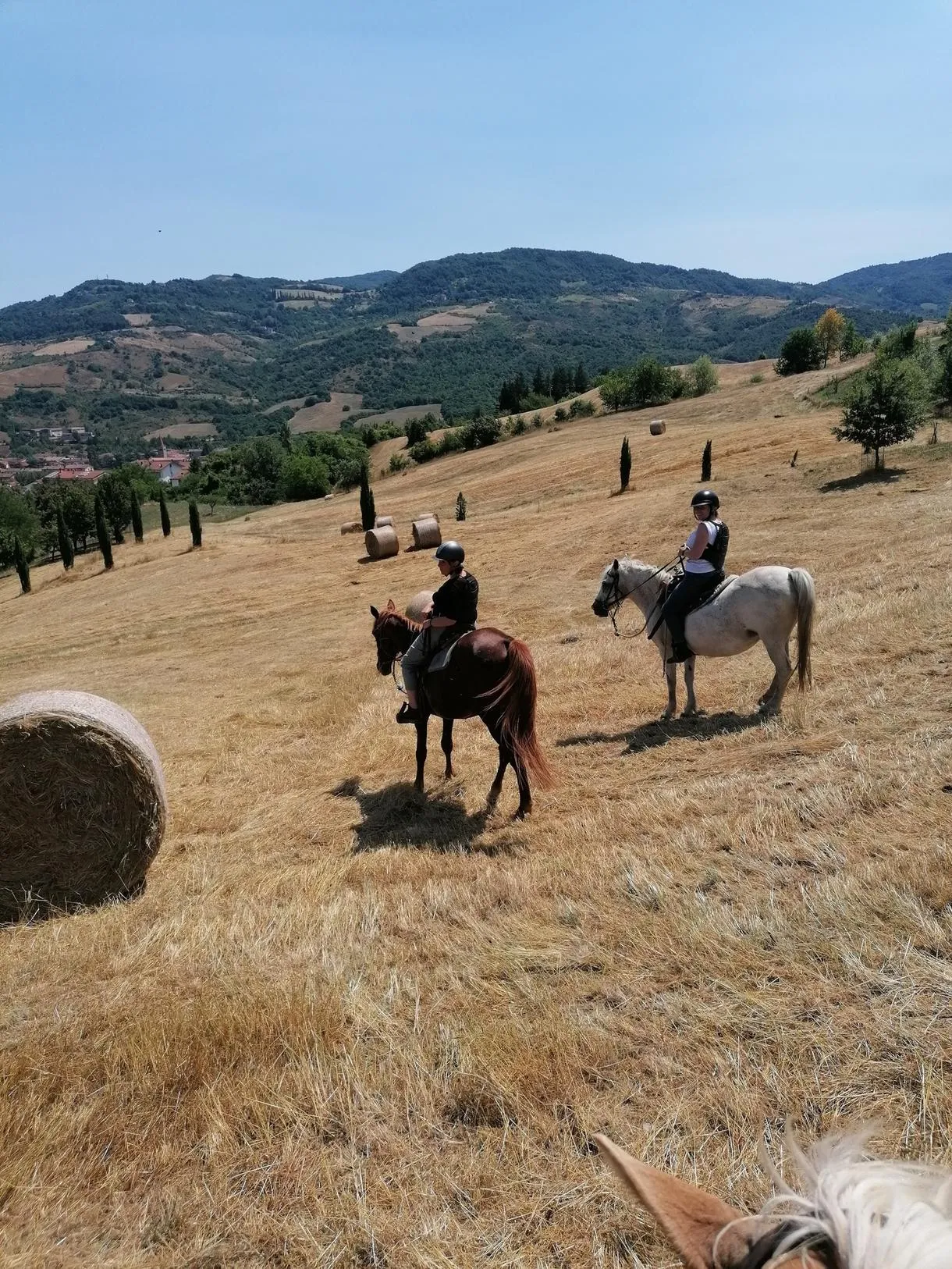 Passeggiata a cavallo sulle colline emiliane a Vergato