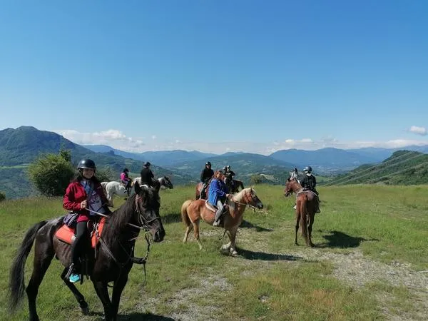 Passeggiata a cavallo con picnic a Vergato