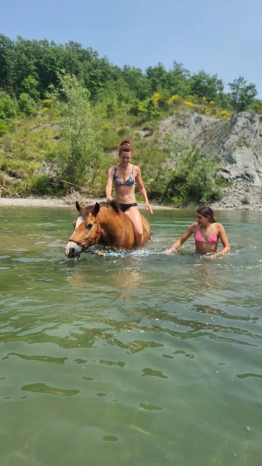 Passeggiata a cavallo con picnic a Vergato