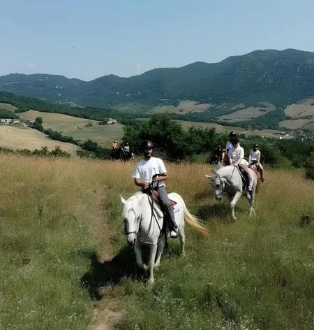 Passeggiata a cavallo e pranzo in agriturismo a Vergato