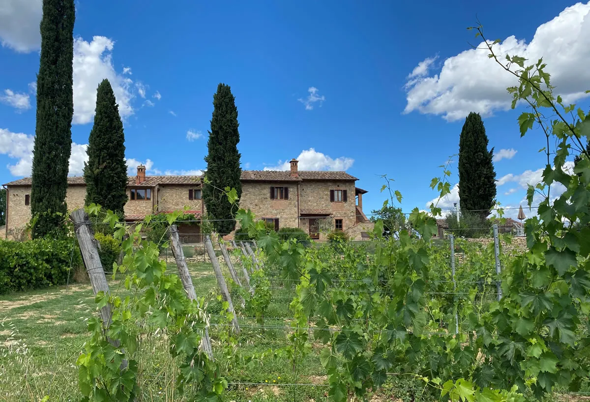 Degustazione di vino a San Gimignano