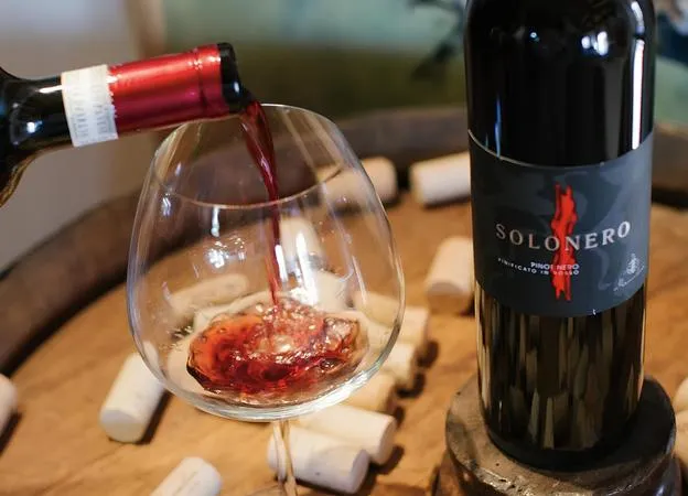 Wine tasting and visit to vineyards in the Oltrepò Pavese area