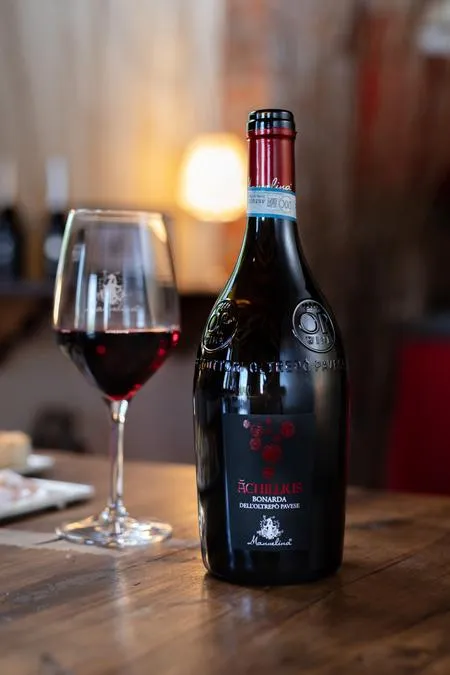 Degustazione di vini e visita ai vigneti nell'Oltrepò Pavese