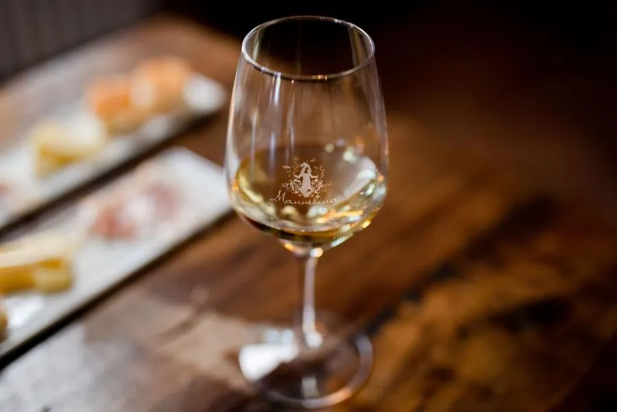 Degustazione di vini e visita ai vigneti nell'Oltrepò Pavese