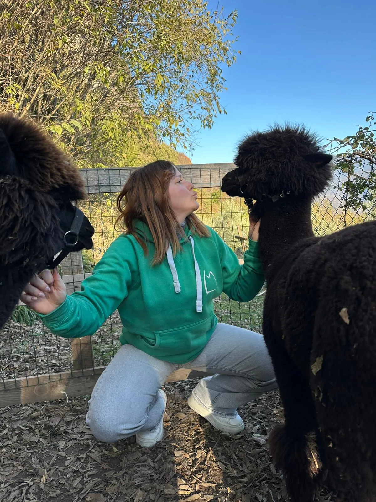 Passeggiata con Alpaca al Lago Moro
