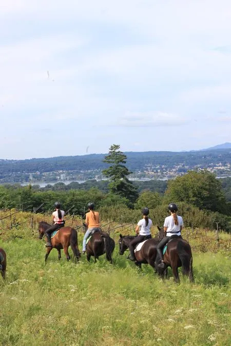 Passeggiata a cavallo sui colli del Lago Maggiore