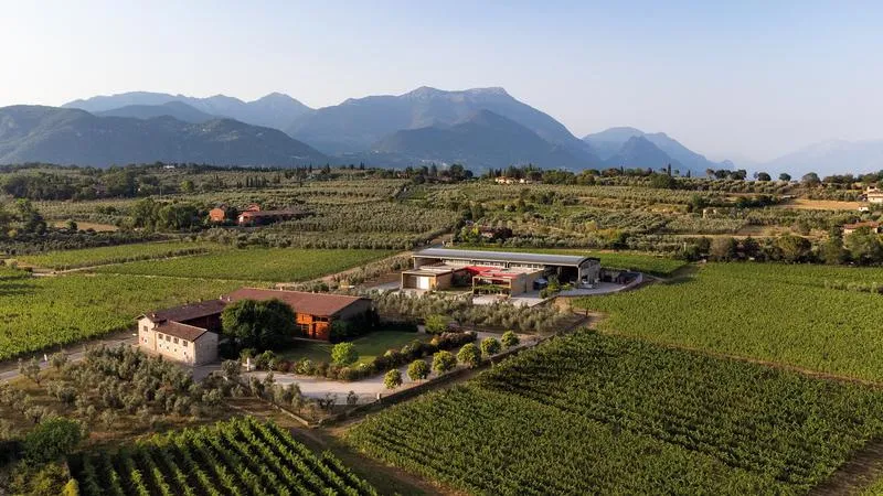 Wine tasting and winery tour in Puegnago del Garda