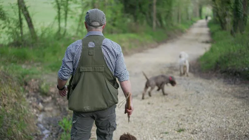 Truffle hunting in Castelnuovo Berardenga