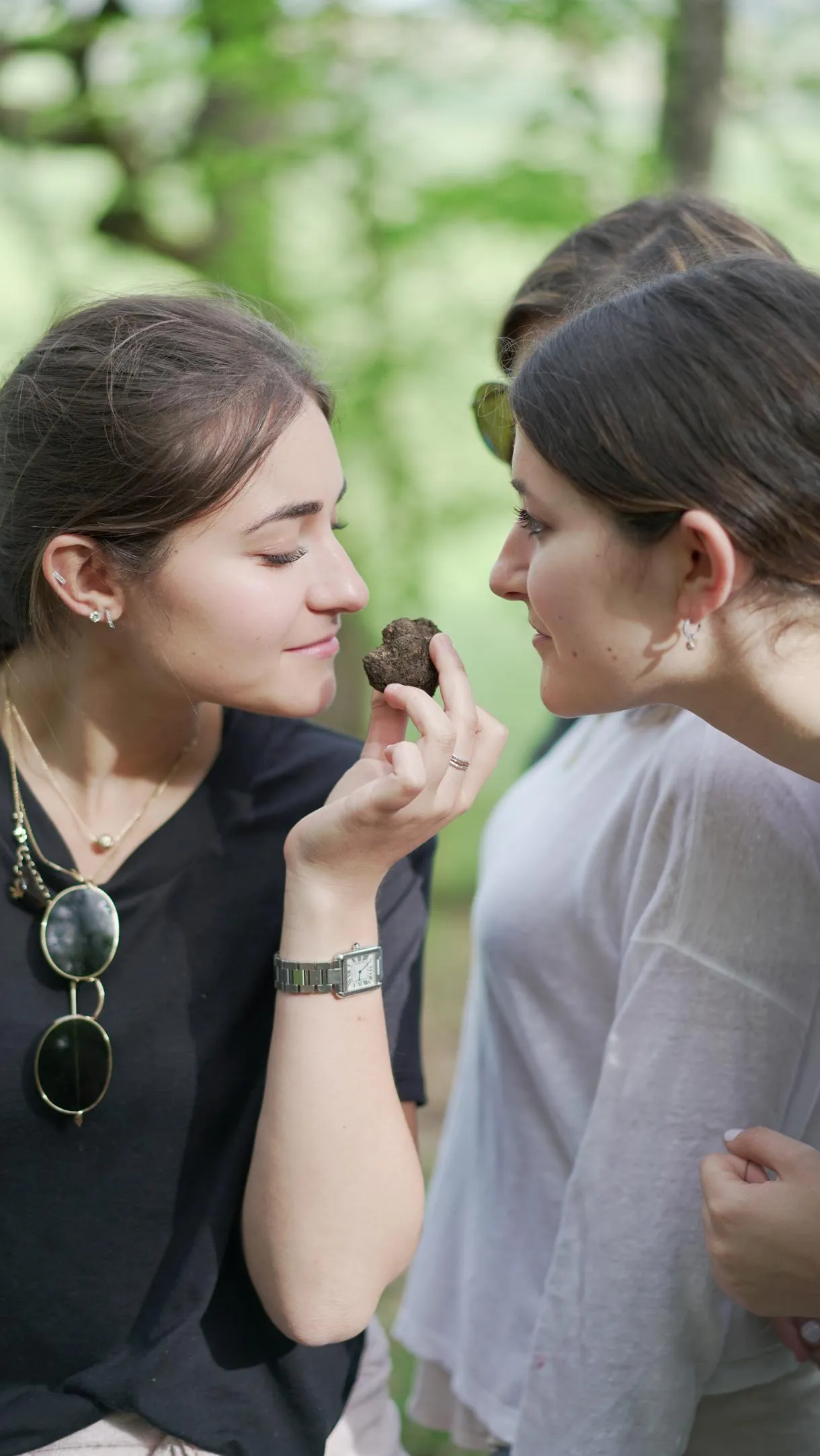 Caccia al tartufo a Castelnuovo Berardenga