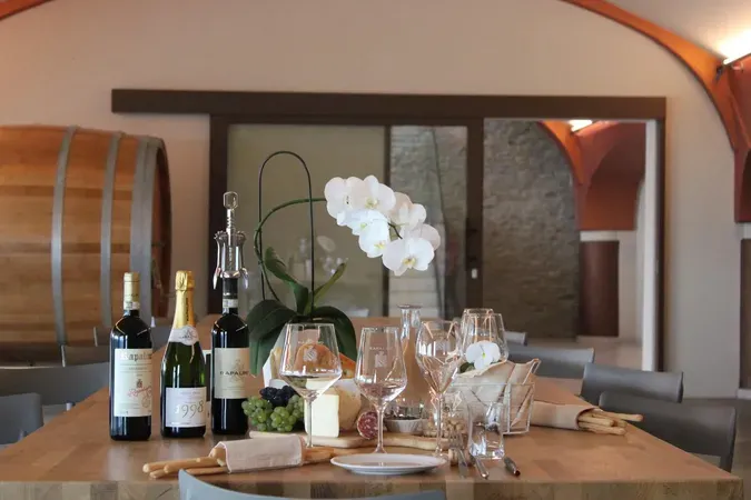 Wine Tasting in the Langhe in Neviglie