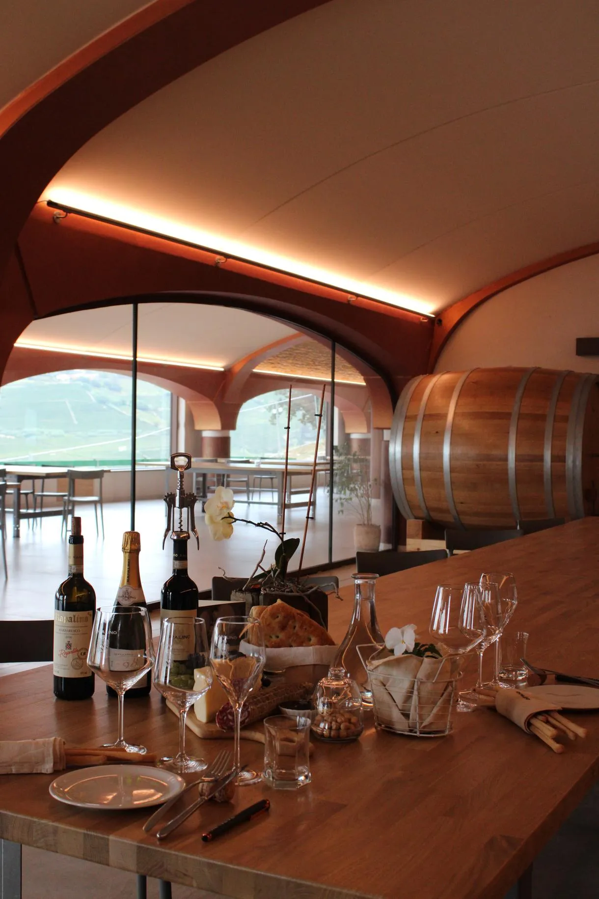 Degustazione vini nelle Langhe a Neviglie