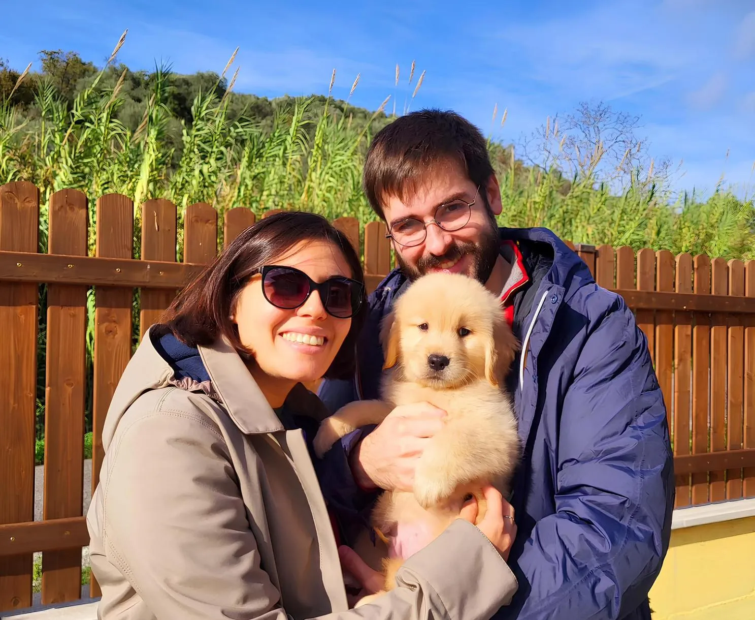 Visita guidata esclusiva in un allevamento di Golden Retriever in provincia di Roma