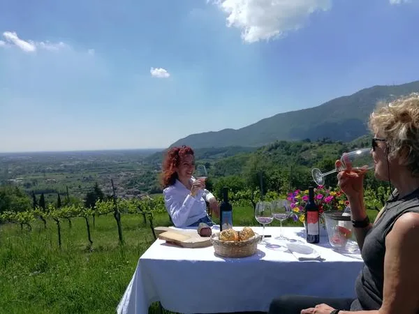 Degustazione di vino fuori Brescia a Botticino