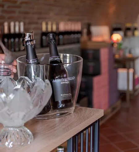 Wine tasting with vineyard tour in Alto Monferrato