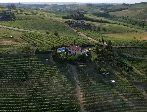 Degustazione vini con tour in vigna nell'Alto Monferrato