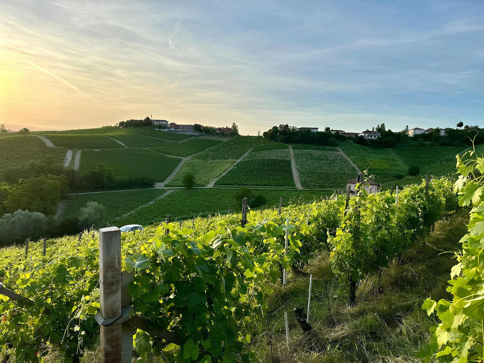 Degustazione vini tra Monferrato e Langhe a Repergo