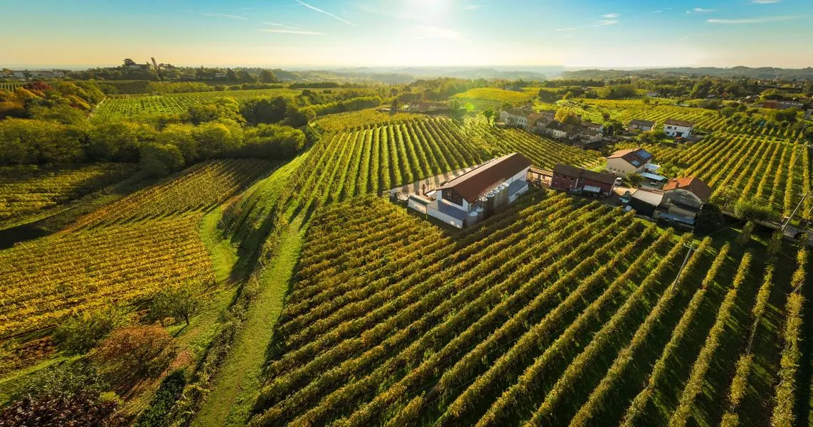 Degustazione di vini e visita alla Cantina De Riz in Valdobbiadene