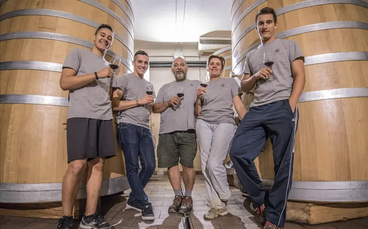 Visita in cantina e degustazione vini biologici nelle Langhe a Neive