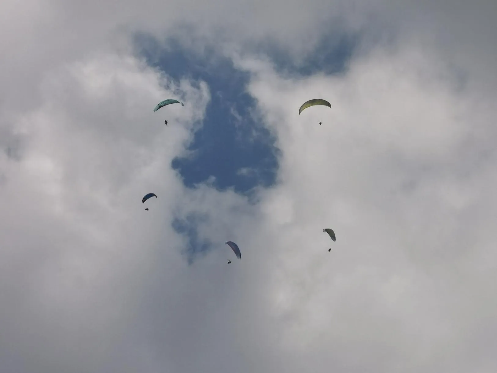 Volo in parapendio biposto a Bassano del Grappa