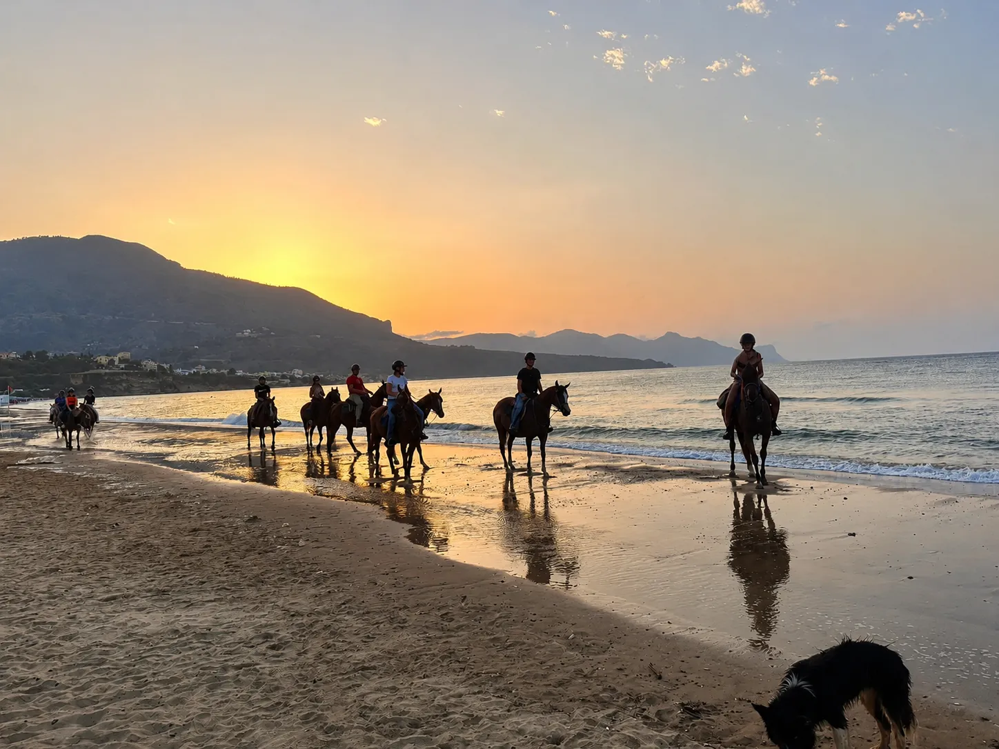 Passeggiata a cavallo sulla spiaggia di Castellammare del Golfo