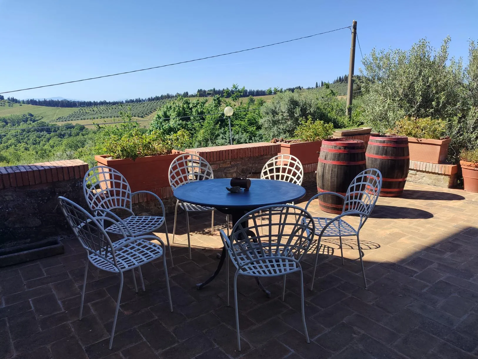 Degustazione di vini e olio con visita in cantina nel cuore del Chianti