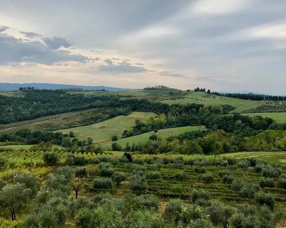 Scatti di Vigna