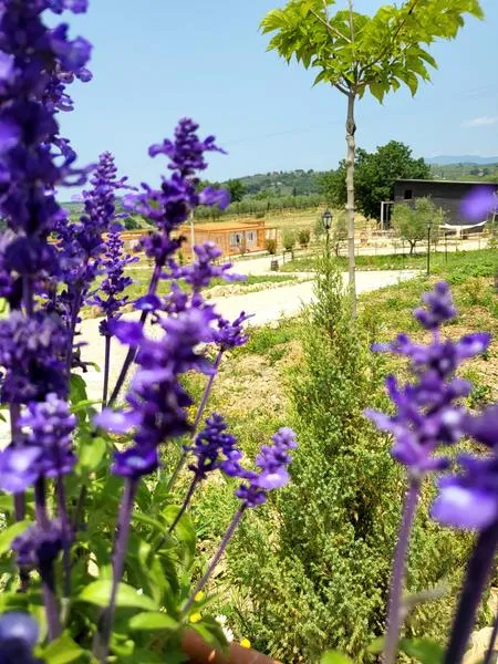 Degustazione di vino e prodotti tipici toscani ad Arezzo