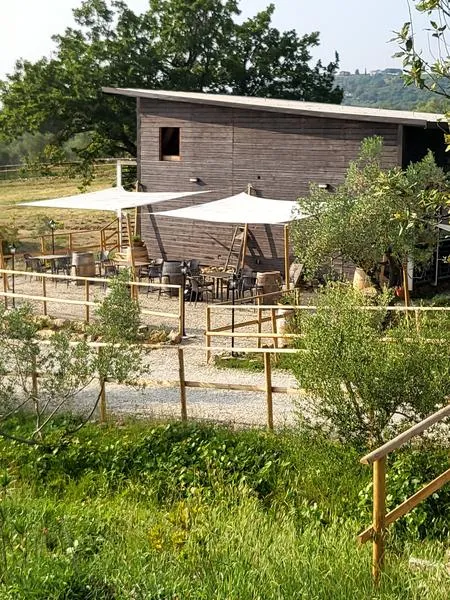 Degustazione di vino e prodotti tipici toscani ad Arezzo