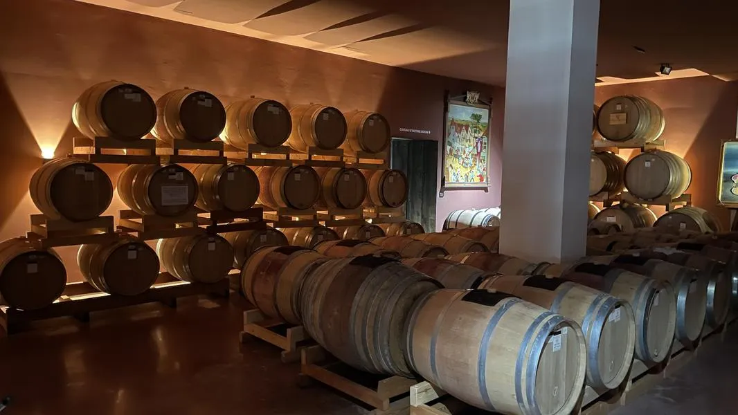 Degustazione vini nel Monferrato alle Cantine Sant'Agata