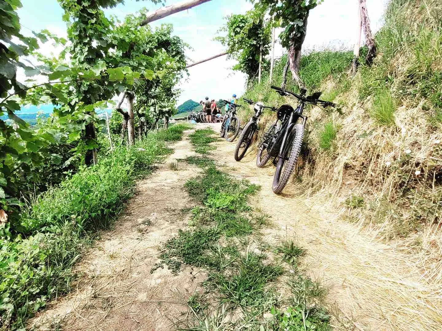 Giro in e-bike nella Valdobbiadene