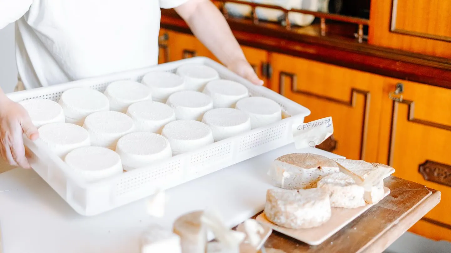 Visita e degustazione di formaggio nelle Langhe a Bossolasco