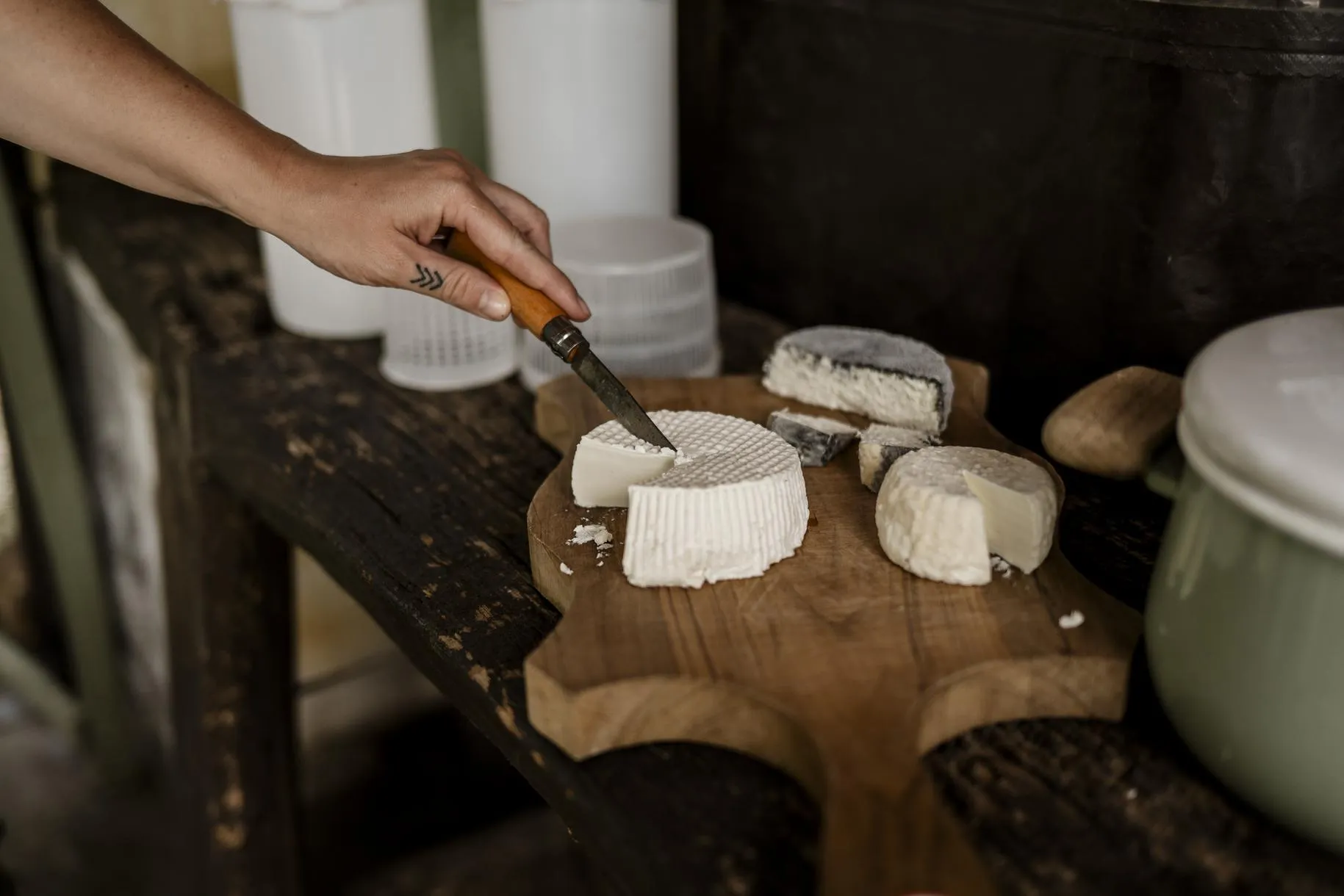 Fattoria didattica sul formaggio tra Langhe e Roero