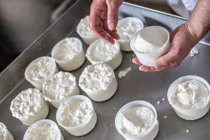 Casaro per un giorno con degustazione di formaggi artigianali vicino al Lago Maggiore
