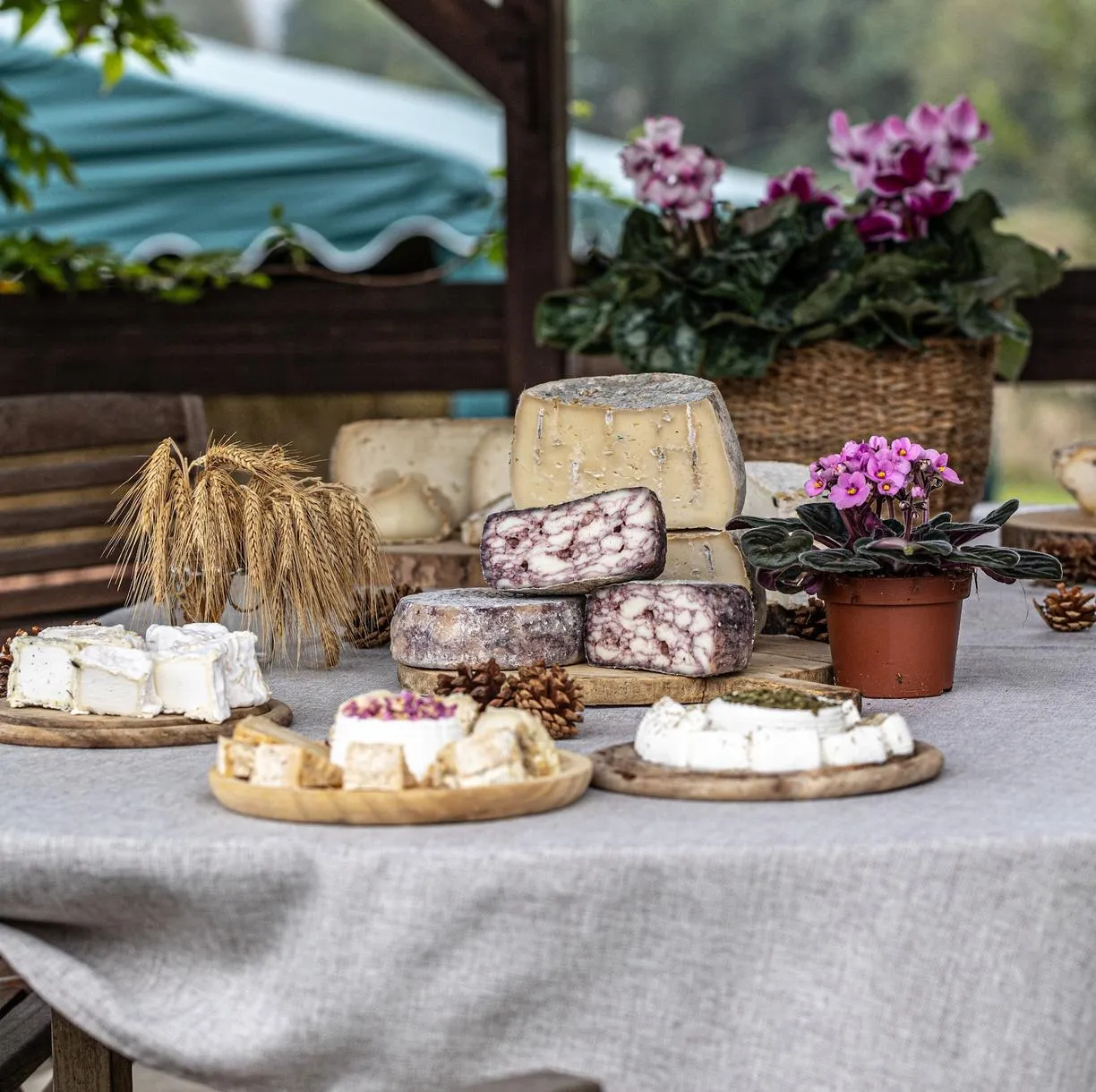 Casaro per un giorno con degustazione di formaggi artigianali vicino al Lago Maggiore