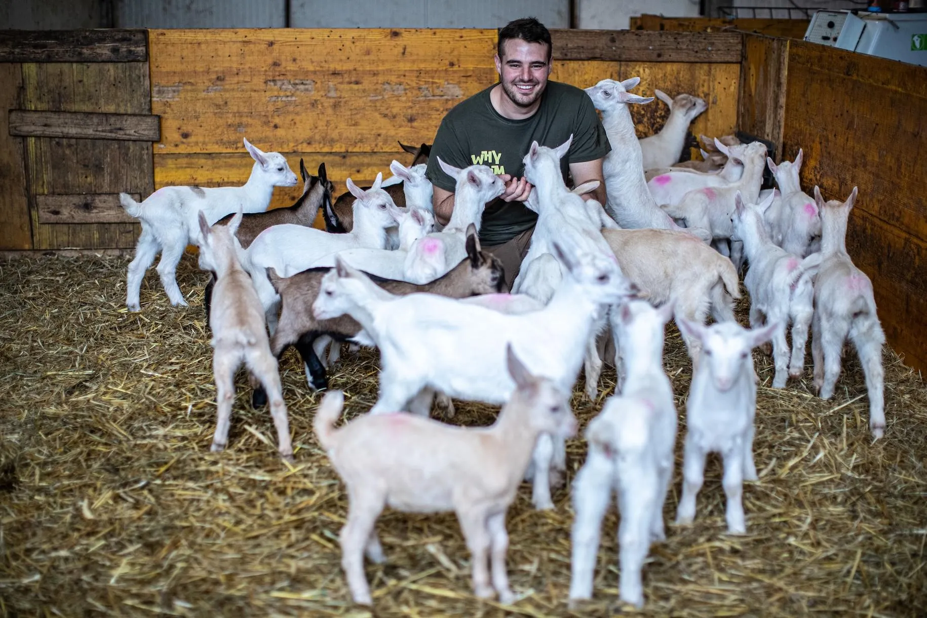 Contadino per un giorno e degustazione di prodotti locali vicino al Lago Maggiore