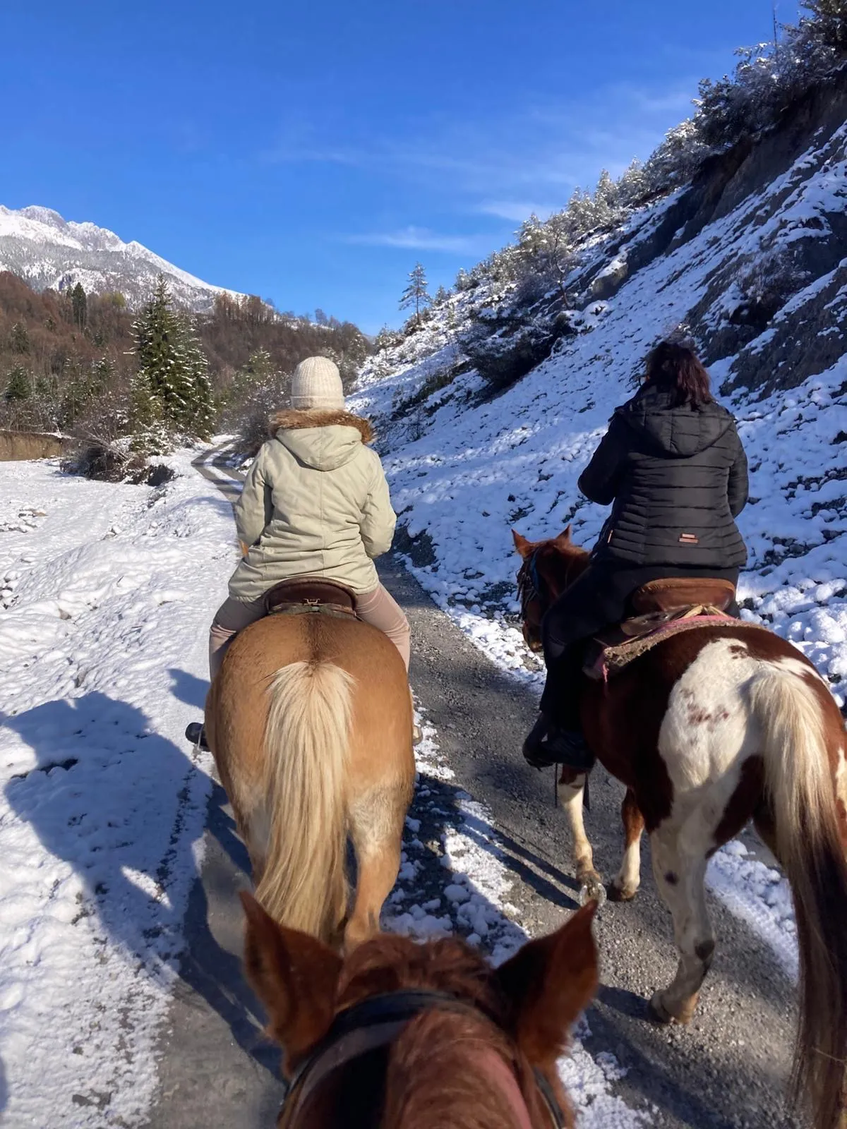 Passeggiata a cavallo in Val Seriana vicino al Lago d'Iseo