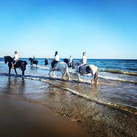 Passeggiate a cavallo in spiaggia e nella riserva di santa Maria del focallo