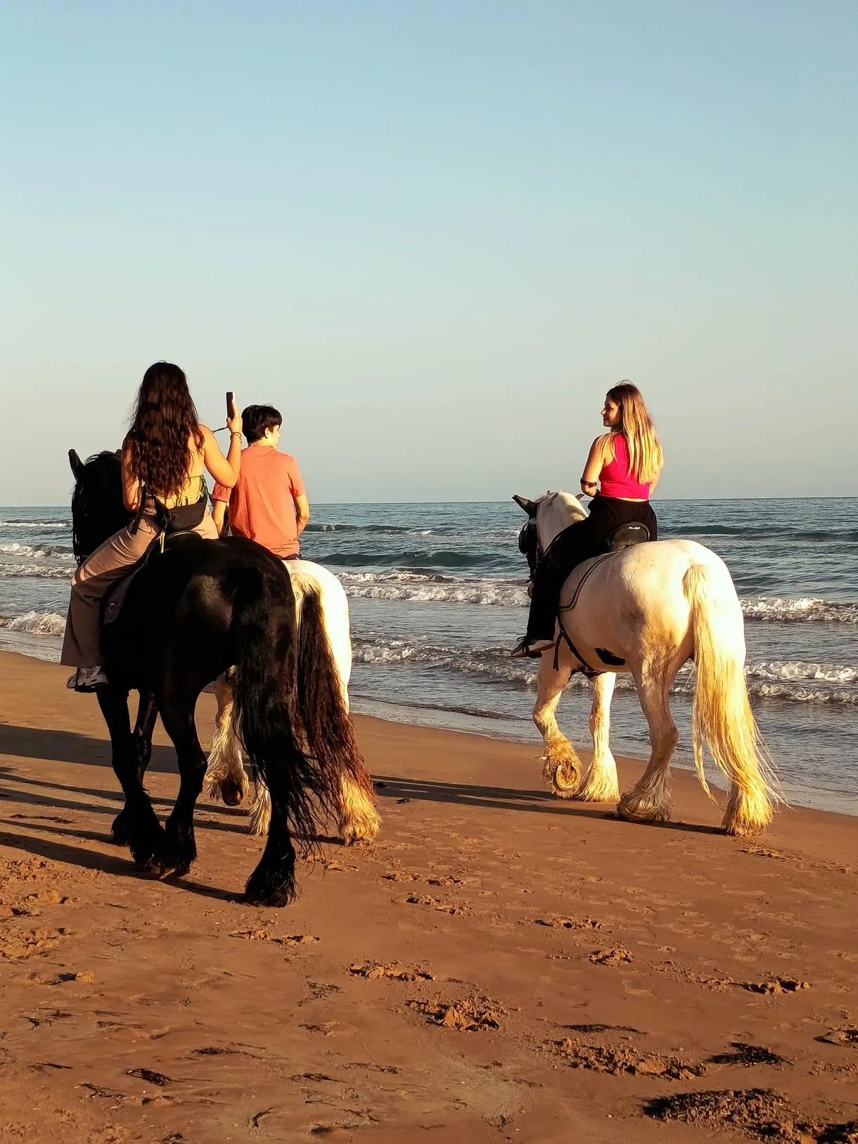 Passeggiate a cavallo in spiaggia e nella riserva di santa Maria del focallo