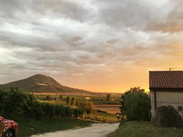 SAN MARTINO IN CANTINA