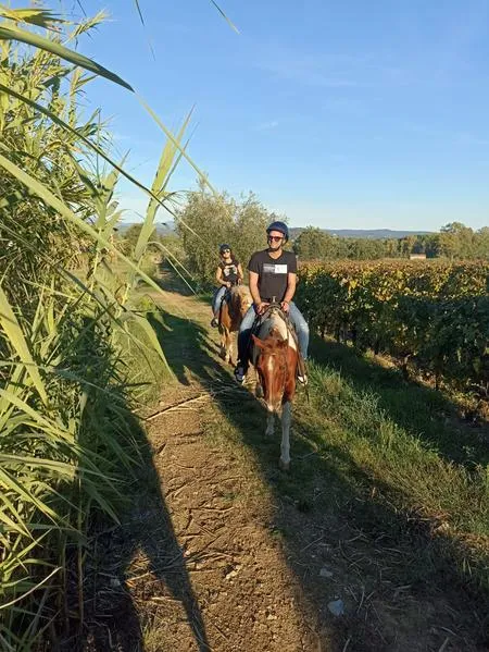 Passeggiata a cavallo privata con aperitivo a Suvereto