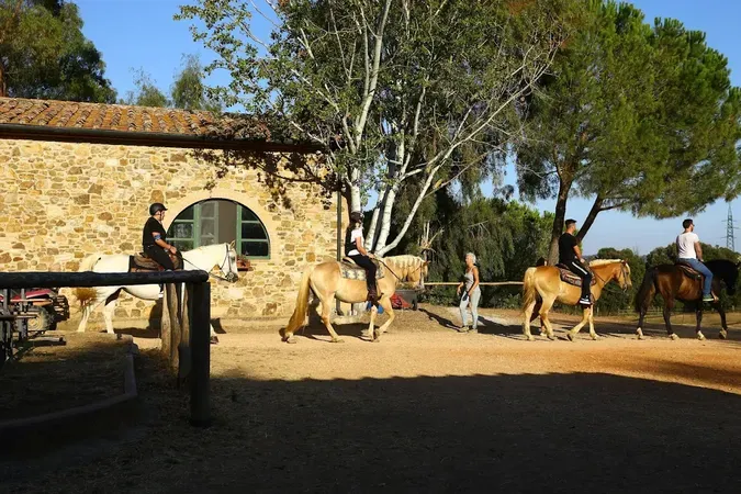 Passeggiata a cavallo, degustazione vini e pranzo a Suvereto