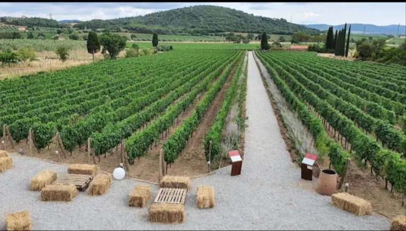 Passeggiata a cavallo e degustazione di vino
