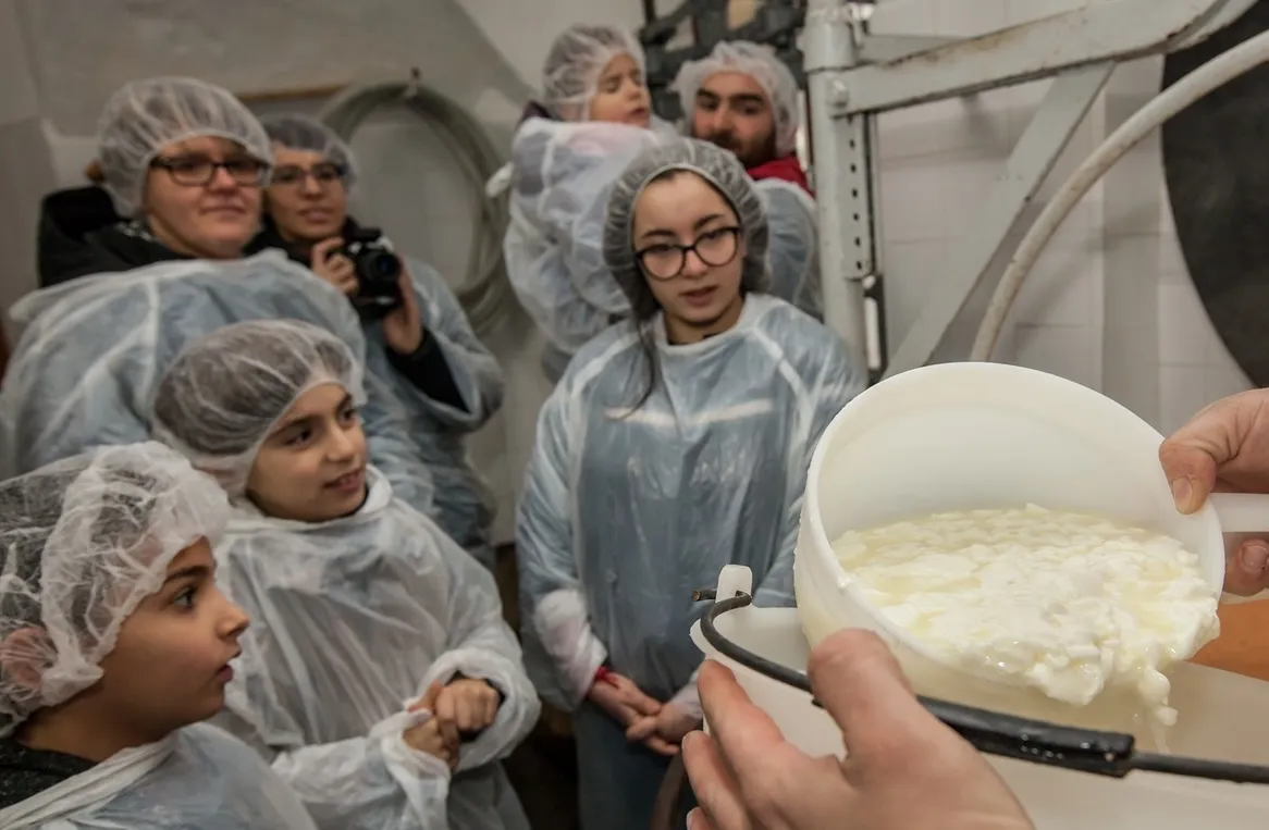 Laboratorio didattico sul formaggio e pranzo in Val D'Ossola