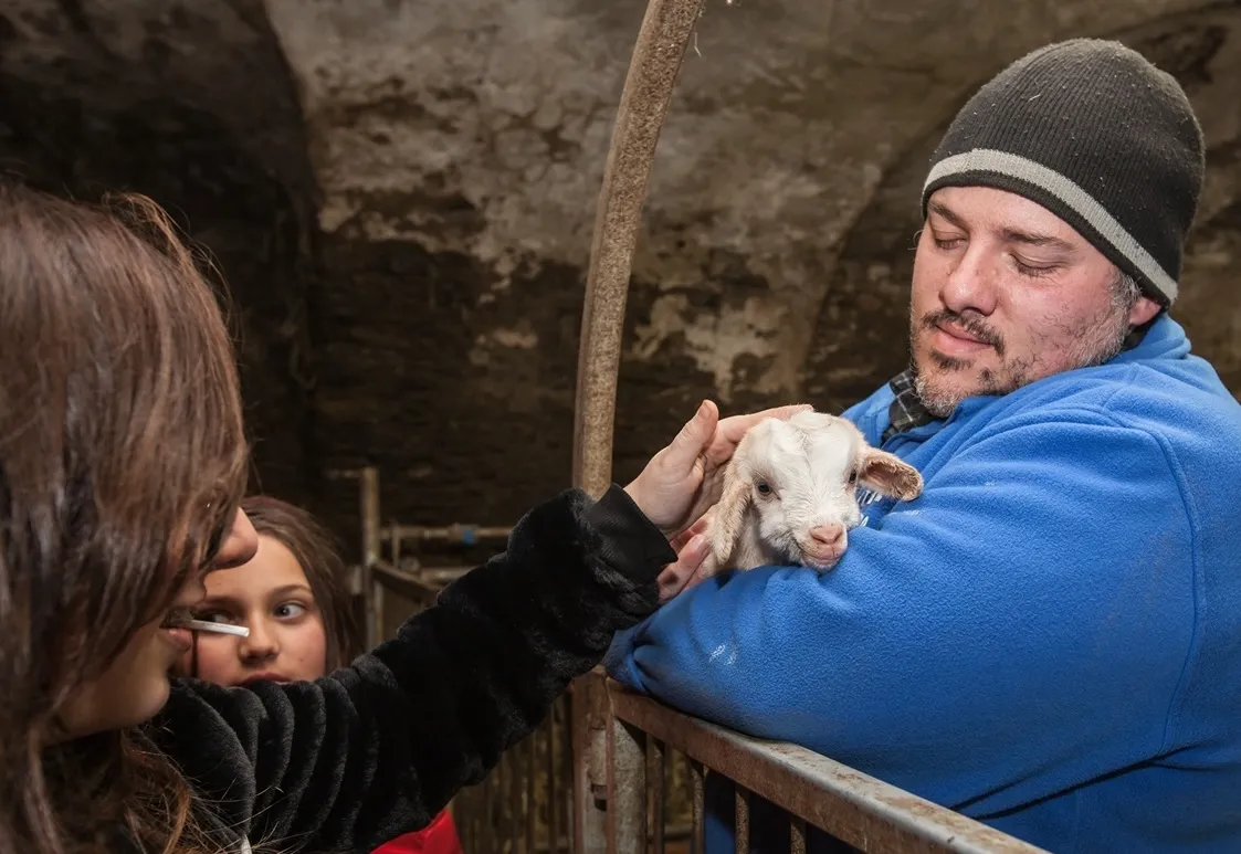 Laboratorio didattico sul formaggio e pranzo in Val D'Ossola