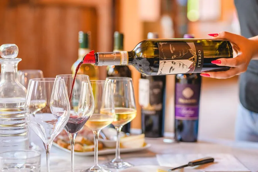 Pranzo con degustazione vini all'Azienda Agricola Palagetto a San Gimignano