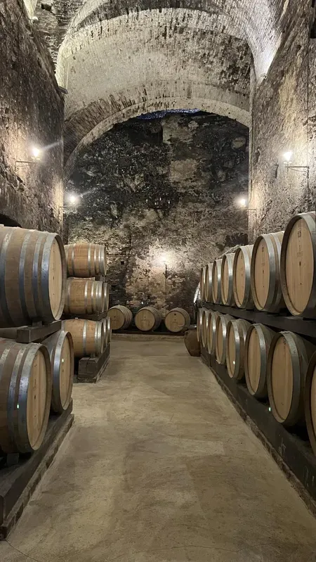 Visita alle Cantine Storiche di Montepulciano e degustazione