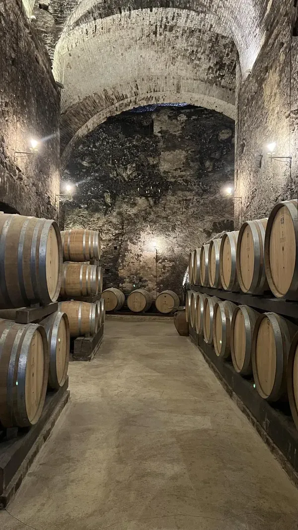 Visita alle Cantine Storiche di Montepulciano e degustazione