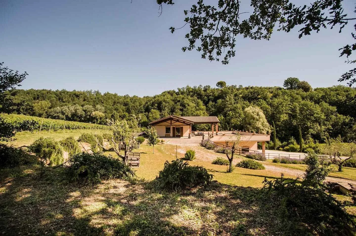 Visita alle Cantine Storiche di Montepulciano e degustazione